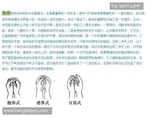 从零基础到高手排球配合技巧全解析助你轻松掌握比赛节奏