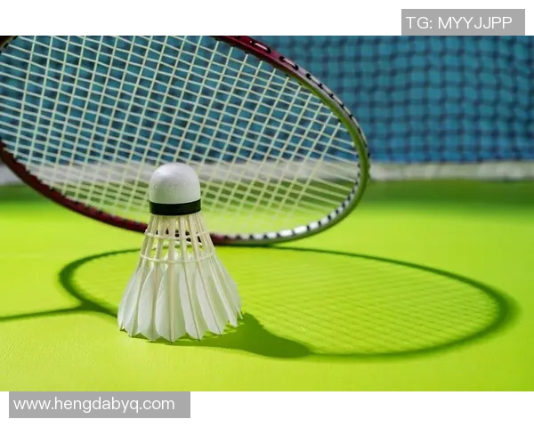 深入分析南京羽毛球队防反战术的特点与应用策略