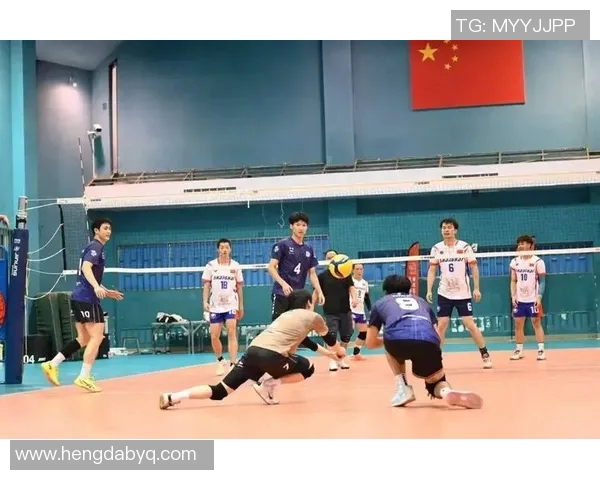上海排球队的拼搏历程与荣耀时刻全景纪实